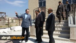 بازدید دکتر مهر محمدی از پروژه خلیج فارس