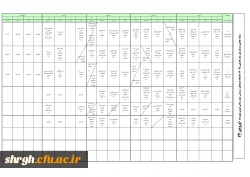 پیوسته ورودی91