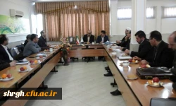 جلسه اعضا هیات علمی دانشگاه و نحوه اجرای امتحانات پایان نیمسال اول 95-94