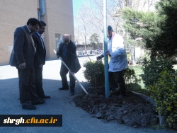 گرامیداشت روز درختکاری  2