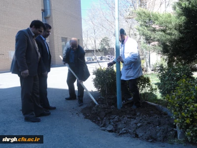 گرامیداشت روز درختکاری