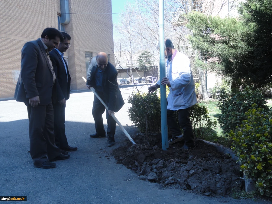 گرامیداشت روز درختکاری  2