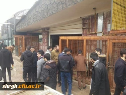 اردوی سیاحتی و زیارتی بارجین 6