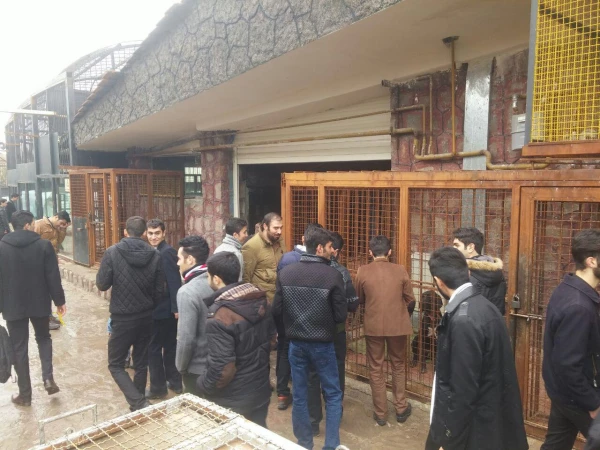 اردوی سیاحتی و زیارتی بارجین 6