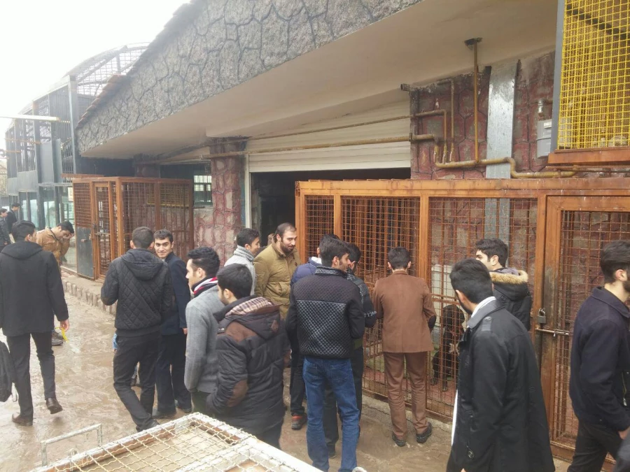 اردوی سیاحتی و زیارتی بارجین 6