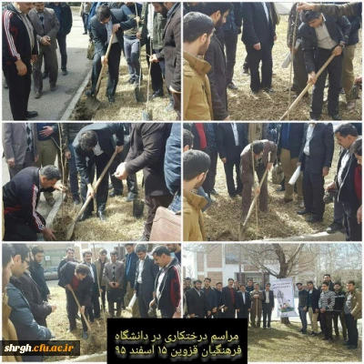 کاشت درخت در پردیس شهید رجائی