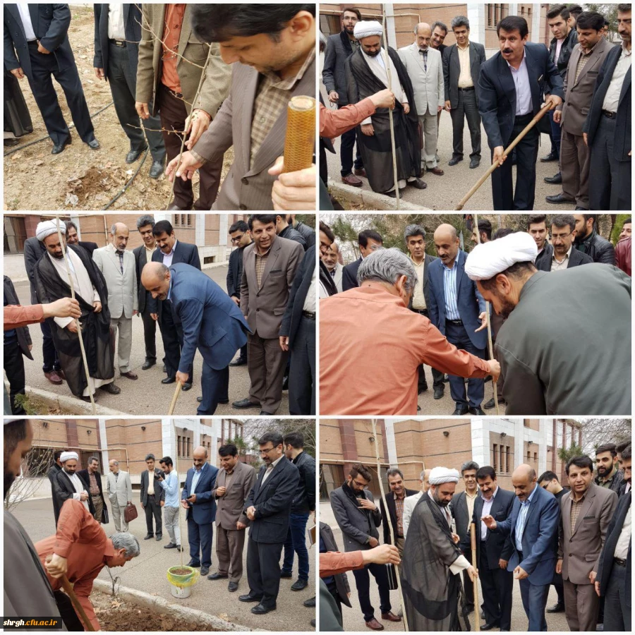 درخت کاری در محوطه دانشگاه فرهنگیان قزوین 2