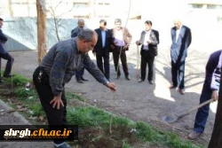 درخت کاری در محوطه دانشگاه فرهنگیان قزوین 3