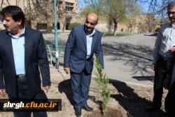 درخت کاری در محوطه دانشگاه فرهنگیان قزوین 4