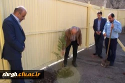 درخت کاری در محوطه دانشگاه فرهنگیان قزوین 5