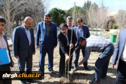 درخت کاری در محوطه دانشگاه فرهنگیان قزوین 6