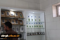 بازدید مسئولین دانشگاه فرهنگیان استان ازظرفیت ها وامکانات دانشگاه علمی وکاربردی جهادکشاورزی استان قزوین 3