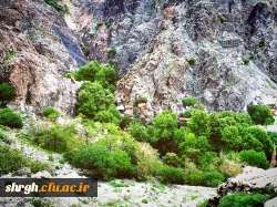 صعودهای ورزشی در راستای تحکیم امور فرهنگی- ورزشی دانشگاه 7