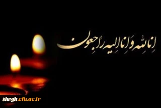 پیام تسلیت

بانهایت تاسف وتاثر درگذشت برادرگرامی سرکار خانم دکتر غلامی سرپرست محترم پردیس شهیده بنت الهدی صدر قزوین را تسلیت عرض می نمائیم.